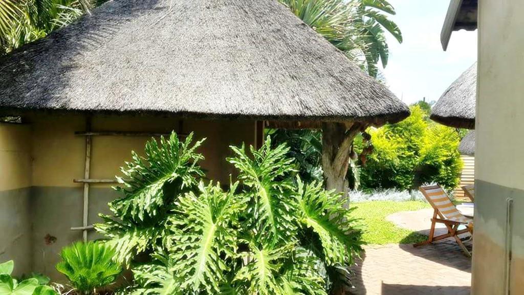 Lani'S Guest House - No Loadshedding Musina Exteriör bild